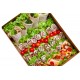 Mexifood box №023