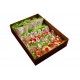 Mexifood box №023